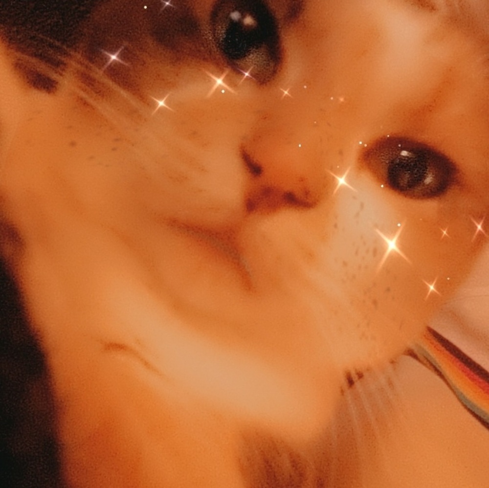 Meet your Posher, Caroline